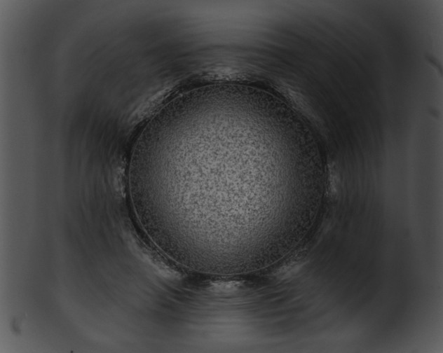 X0000101450450200807141247