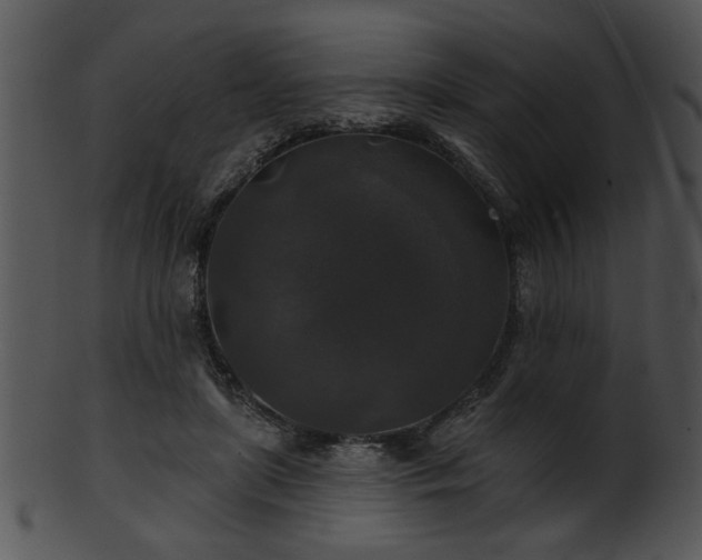 X0000101450451200807141247