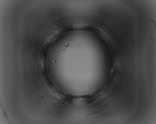 X0000101450452200807141247