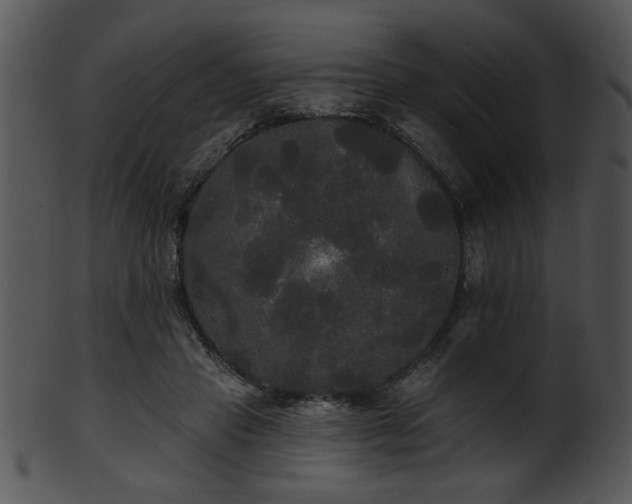 X0000101450453200807141247