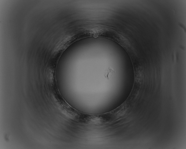 X0000101450456200807141248