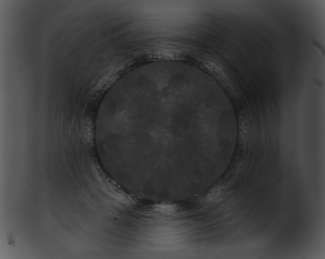 X0000101450457200807141248