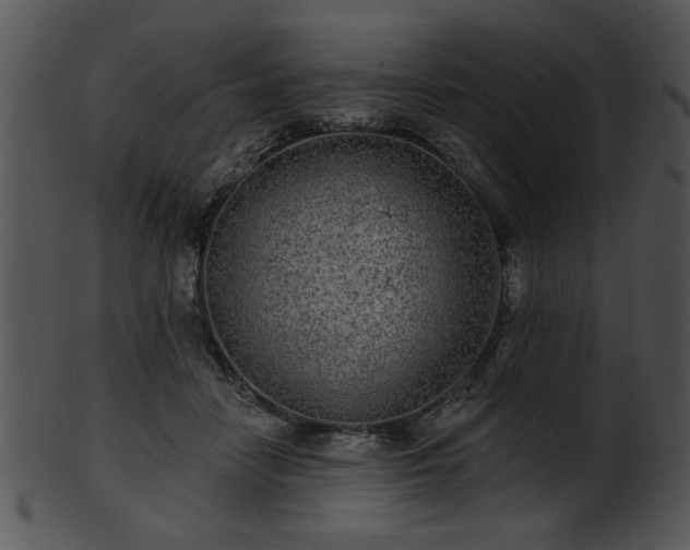 X0000101450458200807141248