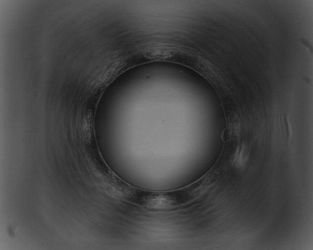 X0000101450460200807141248