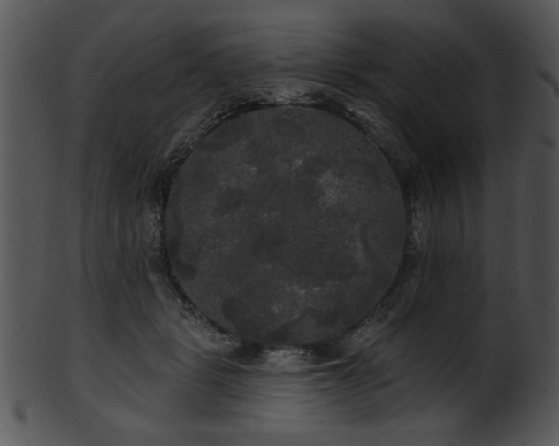 X0000101450461200807141248