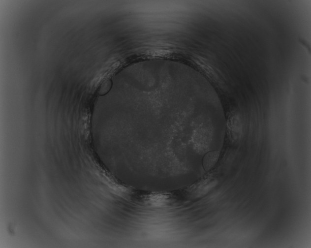 X0000101450462200807141248