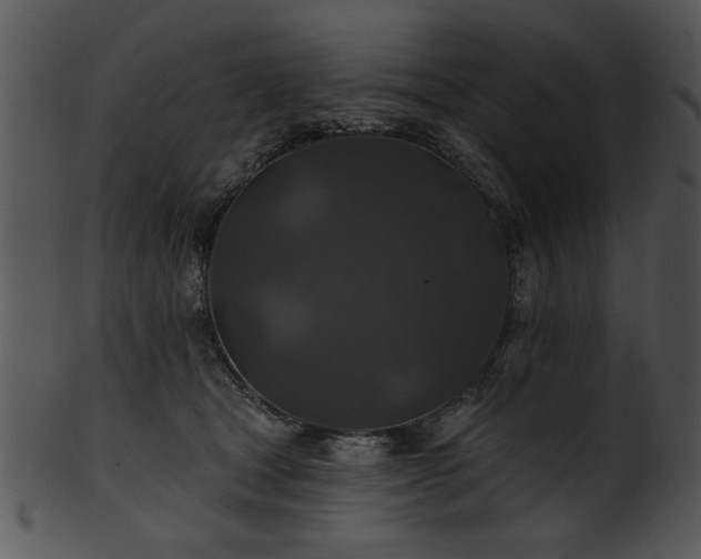 X0000101450465200807141248