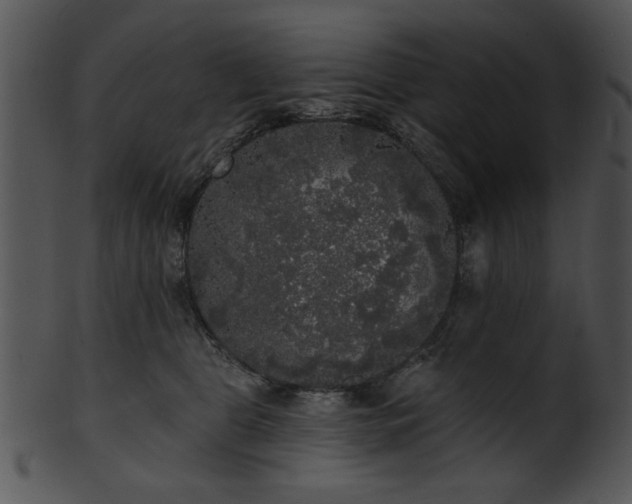 X0000101450469200807141248