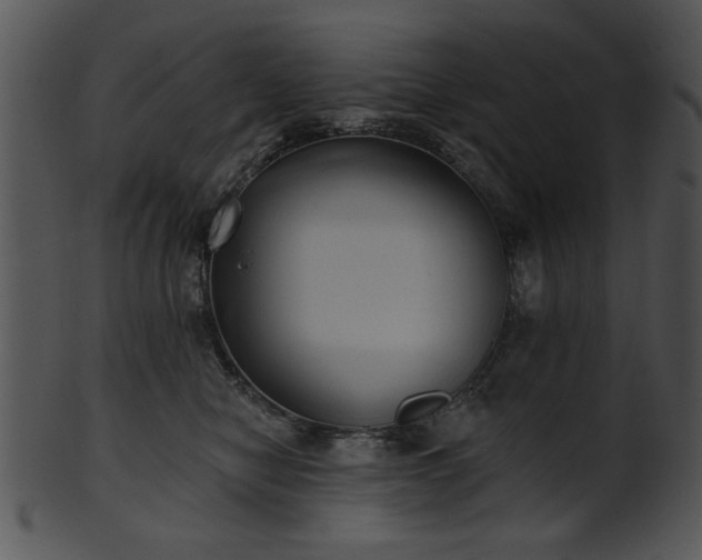 X0000101450470200807141248