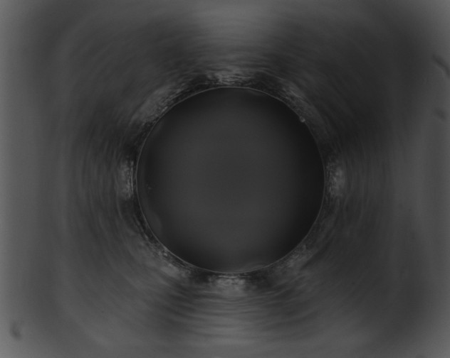 X0000101450471200807141248