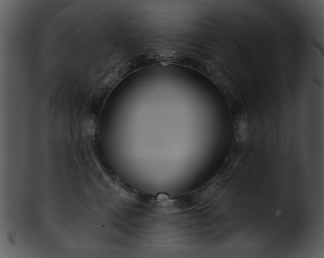 X0000101450472200807141248