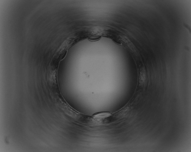 X0000101450473200807141248