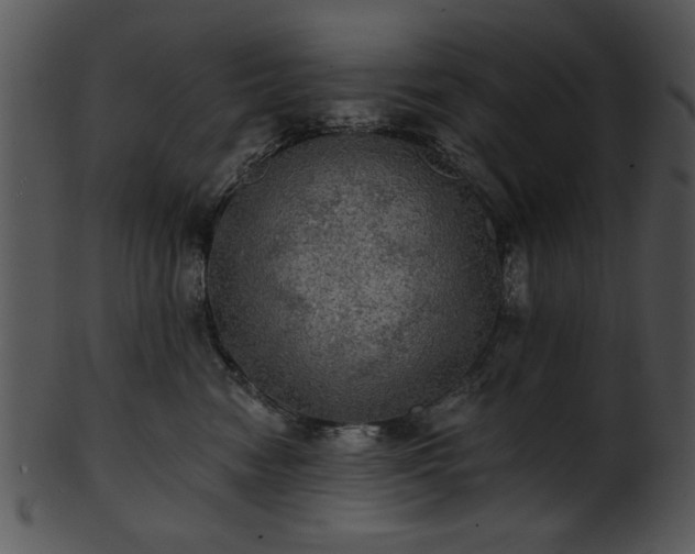 X0000101450474200807141248