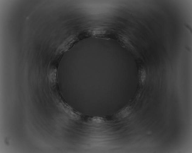 X0000101450475200807141248