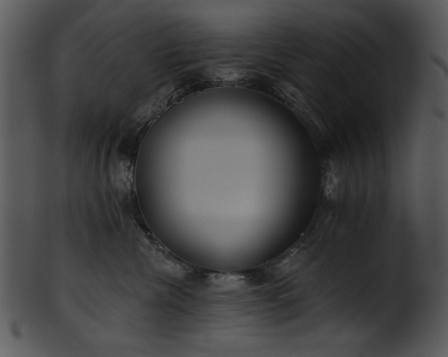 X0000101450476200807141248