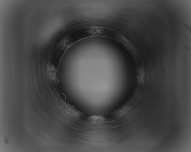 X0000101450477200807141248