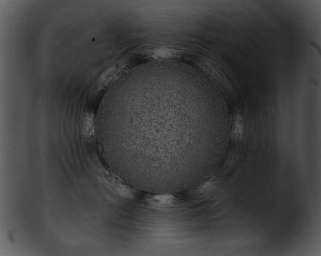 X0000101450478200807141248