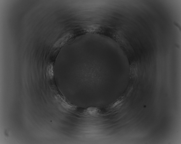 X0000101450479200807141248