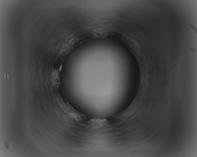 X0000101450480200807141248