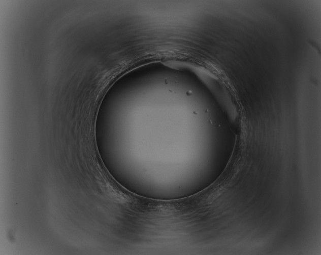 X0000101450481200807141247