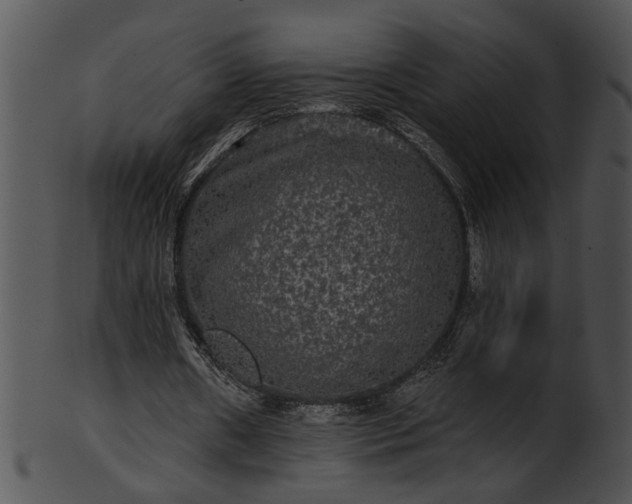 X0000101450482200807141247