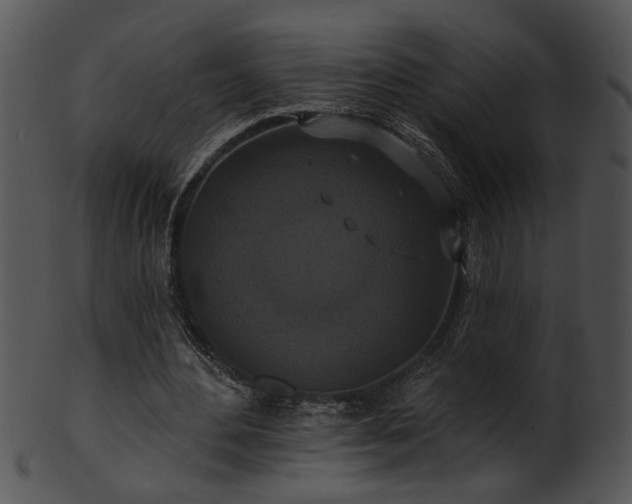 X0000101450484200807141247