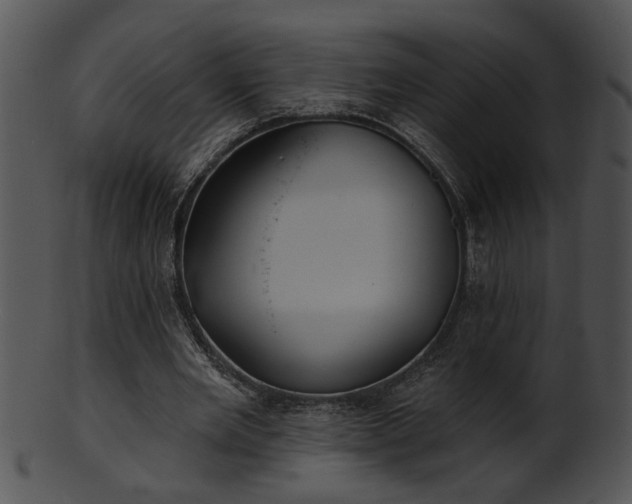 X0000101450485200807141247