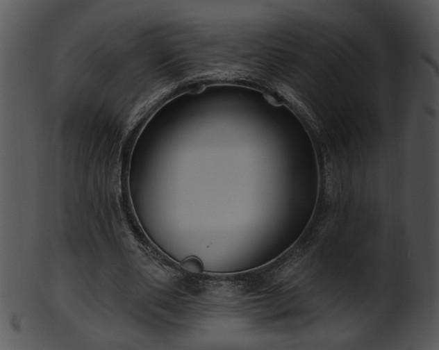 X0000101450486200807141247