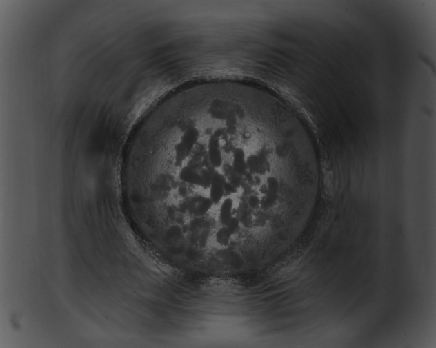 X0000101450487200807141247