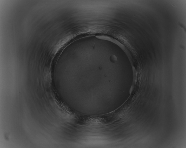 X0000101450488200807141247