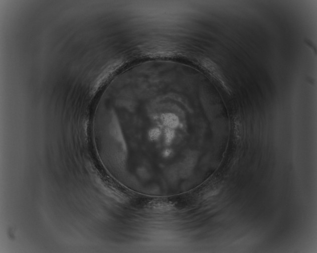 X0000101450491200807141247