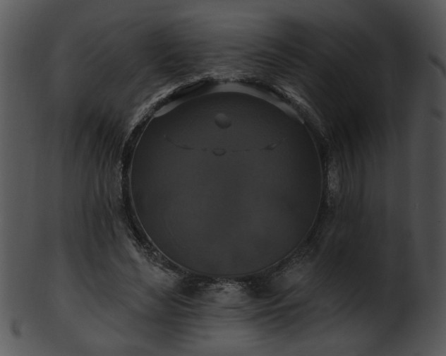 X0000101450492200807141247