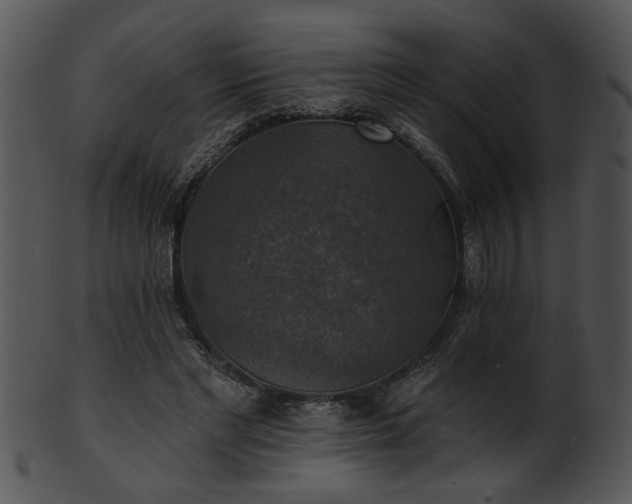 X0000101450493200807141247