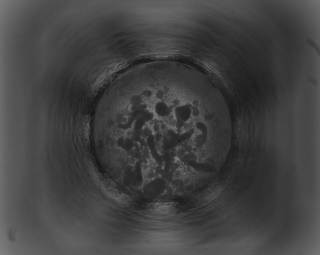 X0000101450495200807141247