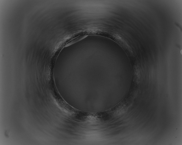 X0000101450496200807141247