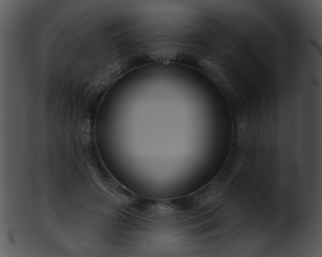 X0000101450498200807141247