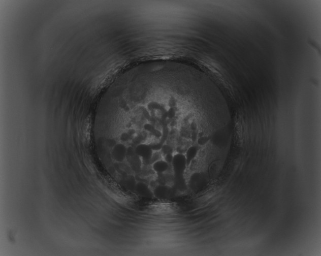 X0000101450499200807141247