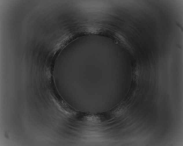 X0000101450500200807141247