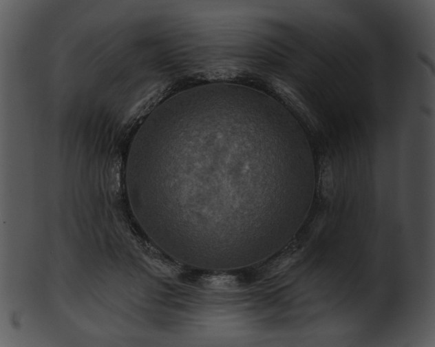 X0000101450501200807141247