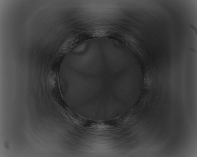 X0000101450503200807141247