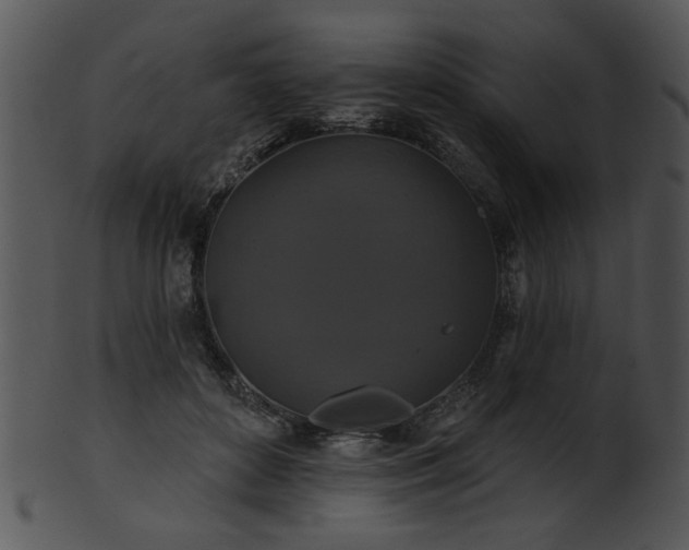 X0000101450504200807141247