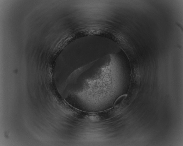 X0000101450506200807141247