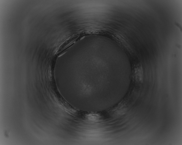 X0000101450508200807141247