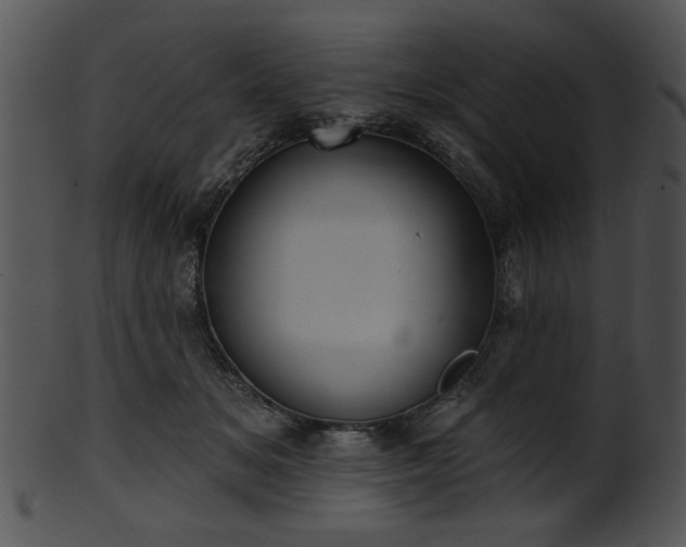 X0000101450509200807141247