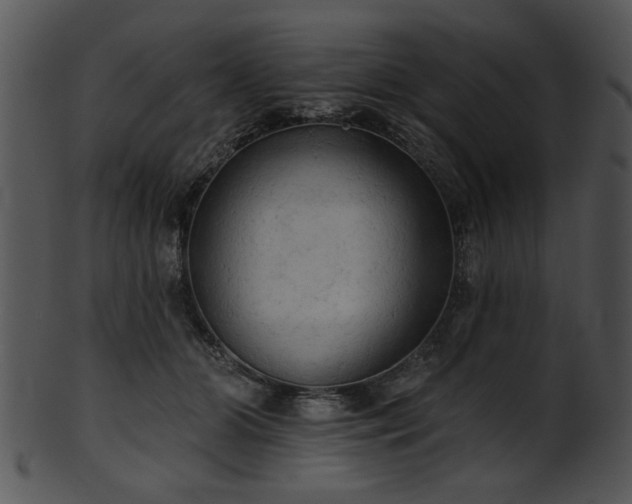 X0000101450510200807141247