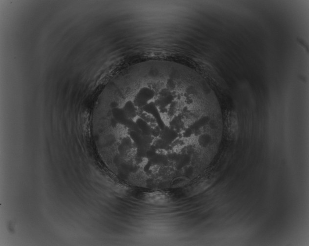 X0000101450511200807141247