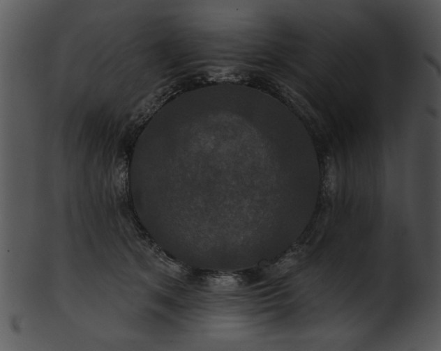 X0000101450513200807141247