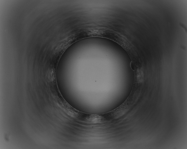 X0000101450514200807141247