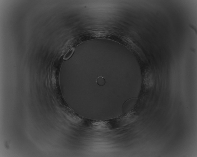 X0000101450516200807141247