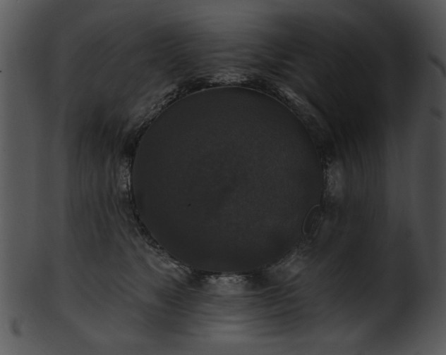 X0000101450517200807141247